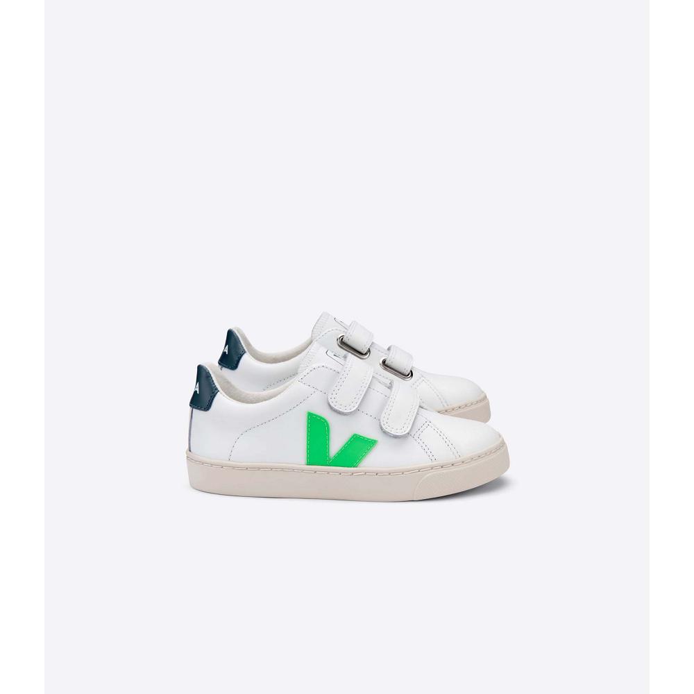 Veja ESPLAR LEATHER Kids\' Sneakers White/Green | CA 816EBC